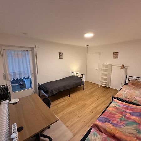 Big, Cosy And Central Apartment كارلسروه المظهر الخارجي الصورة